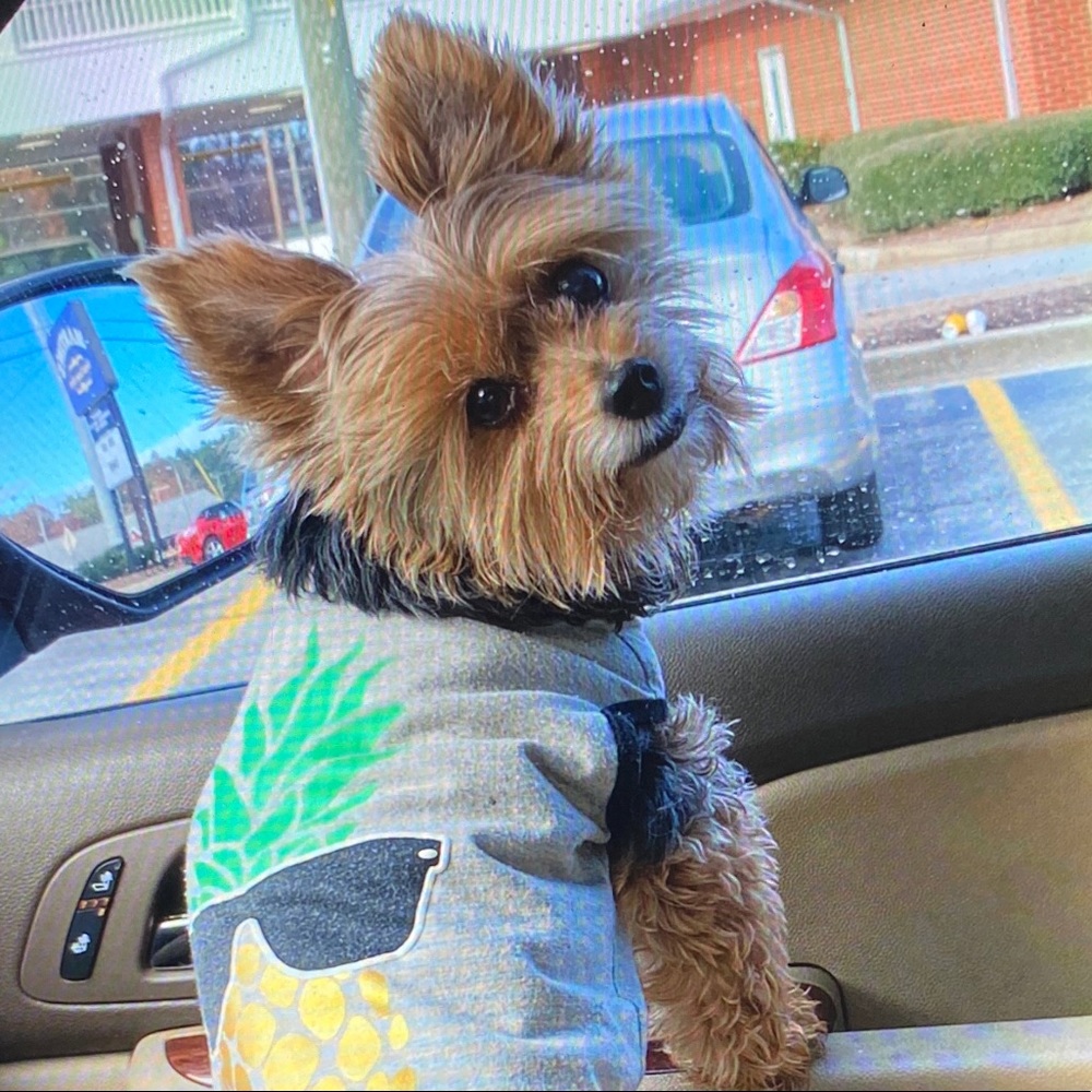 Meet your Posher, Kay